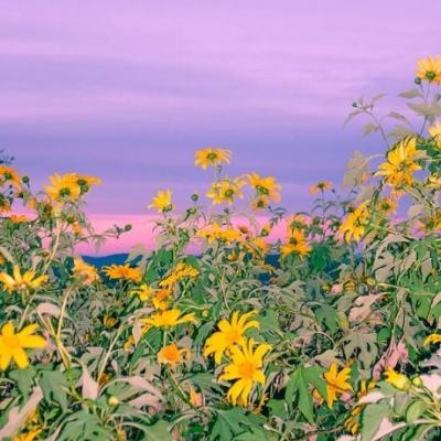 亚博AG娱乐下载手机版